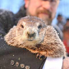 Phil